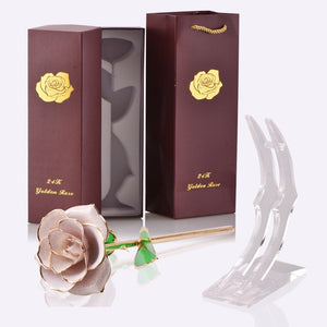 24k Gold Dipped Immortal Beauty and the Beast Rose - Panashe Essence 