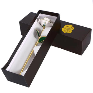 24k Gold Dipped Immortal Beauty and the Beast Rose - Panashe Essence 